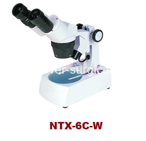ntx6cw
