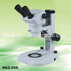 nsz606