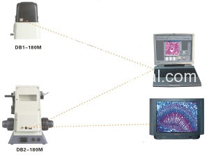 db1b2180m2
